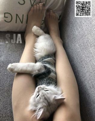 秋霞电影院午夜_720在线观看电视